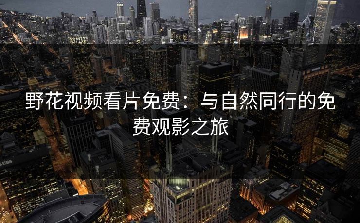 野花视频看片免费：与自然同行的免费观影之旅