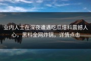 业内人士在深夜遭遇吃瓜爆料震撼人心，黑料全网炸锅，详情点击