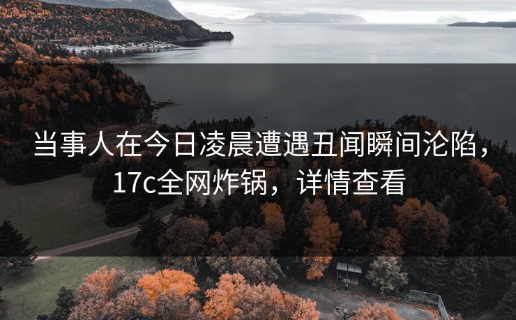 当事人在今日凌晨遭遇丑闻瞬间沦陷，17c全网炸锅，详情查看