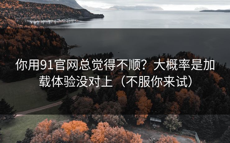 你用91官网总觉得不顺？大概率是加载体验没对上（不服你来试）